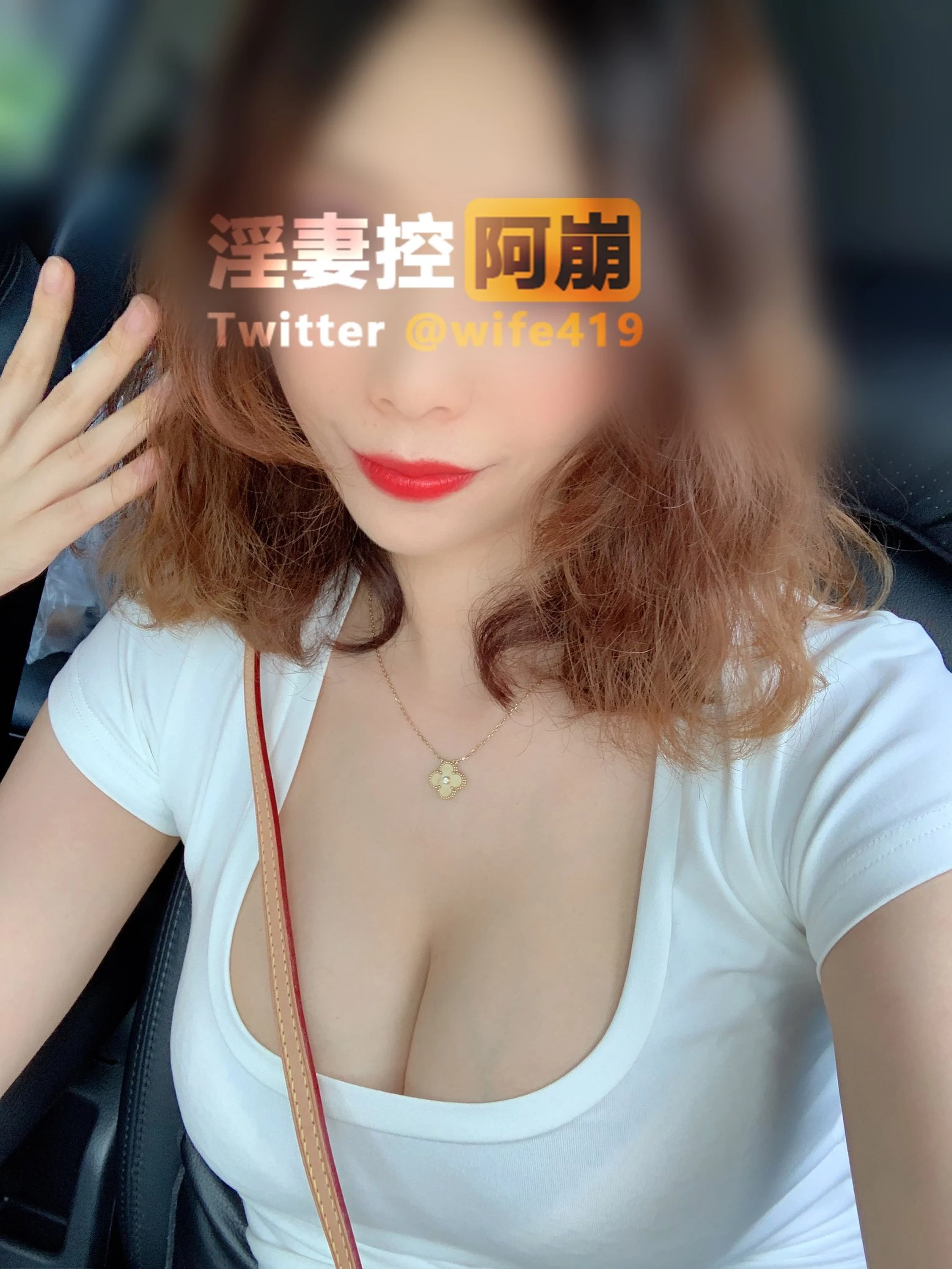 [网络收集系列]福利姬 推特大神阿崩美人妻露出合集 大尺度VIP 福利帖1[74P]