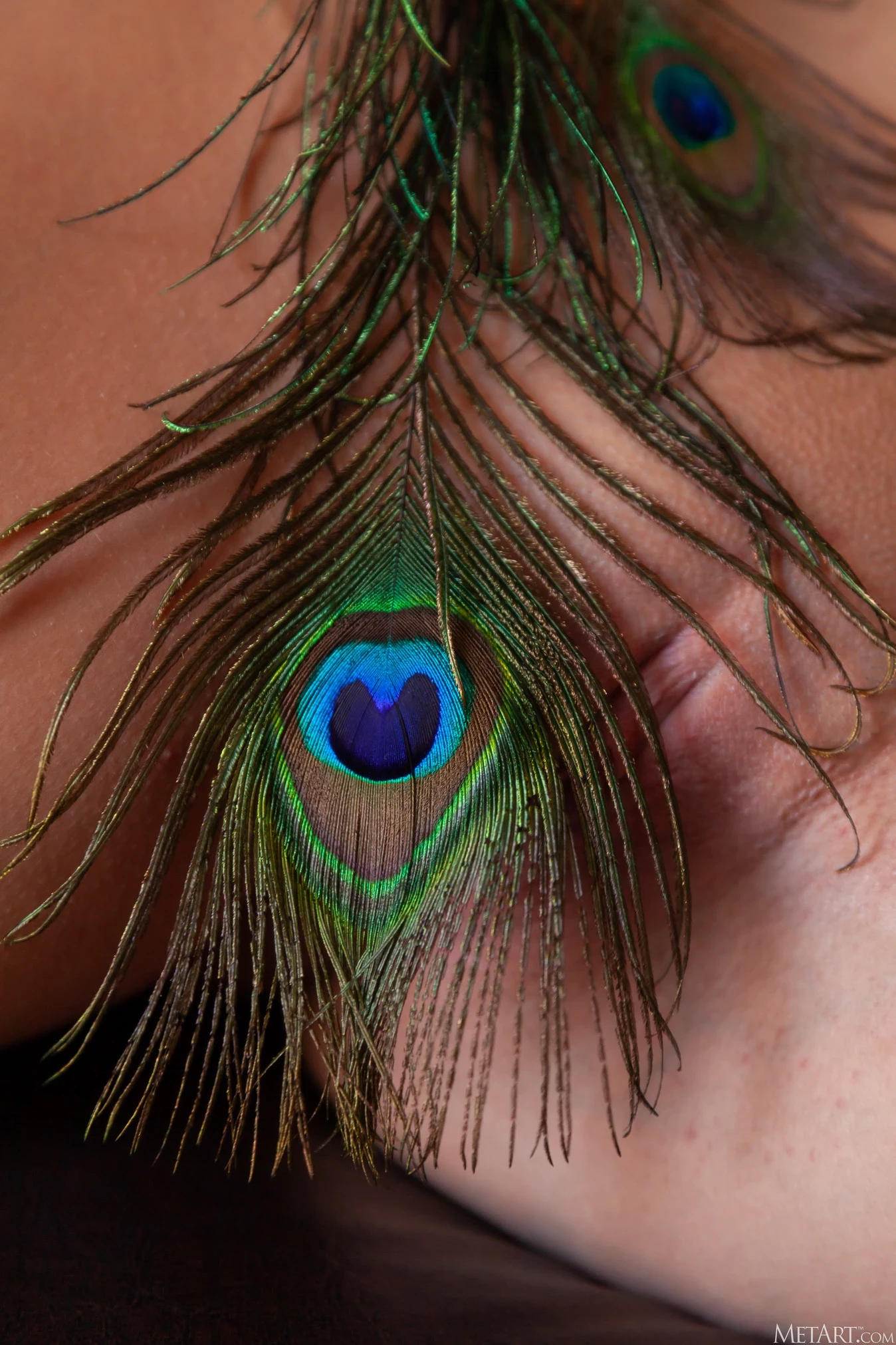 Csilla Peacock Feather [115P]