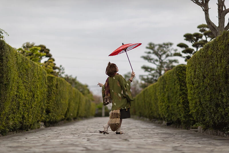 菊壱 Cosplay - Mamizou Futatsuiwa